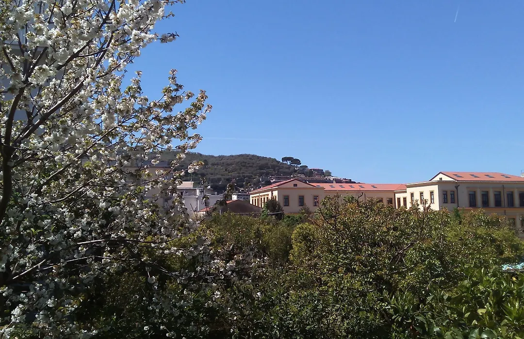 1878 Sorrento Guest House-1