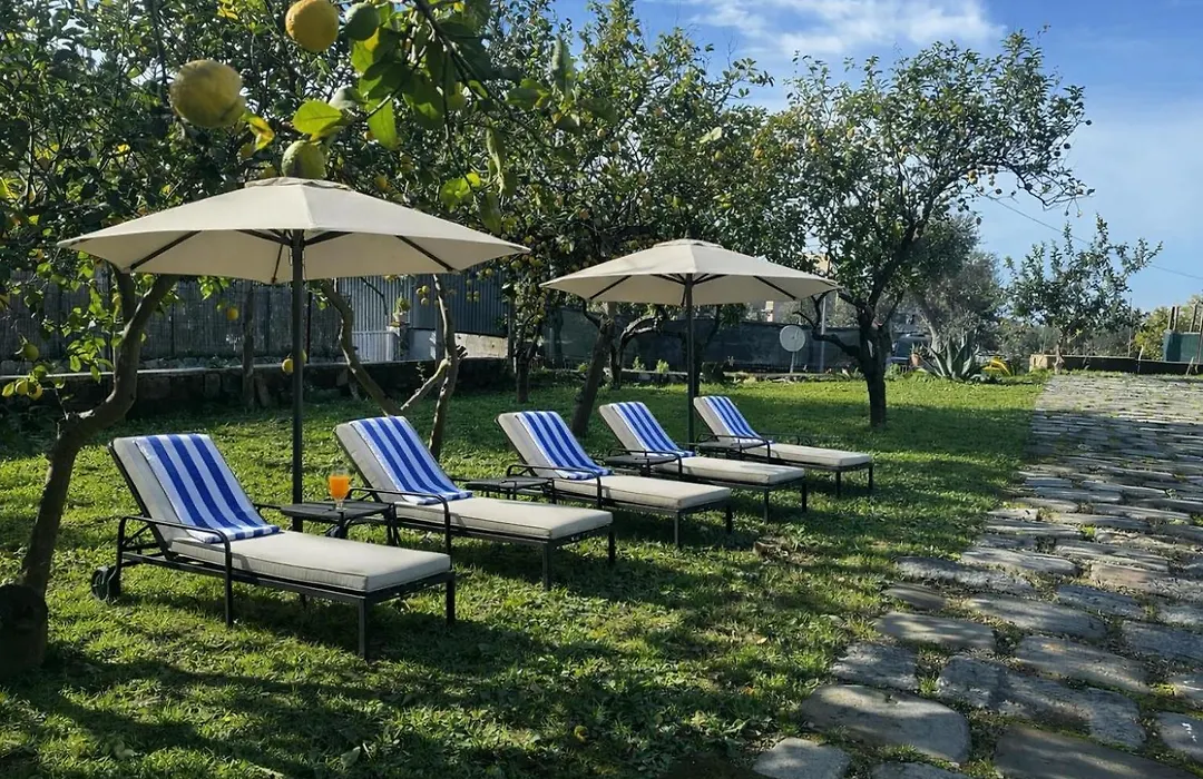 Lemon Factor Sorrento-1