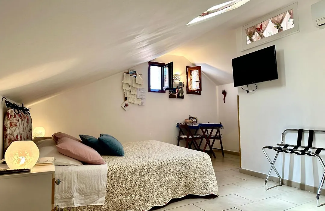 B&B Frai-1