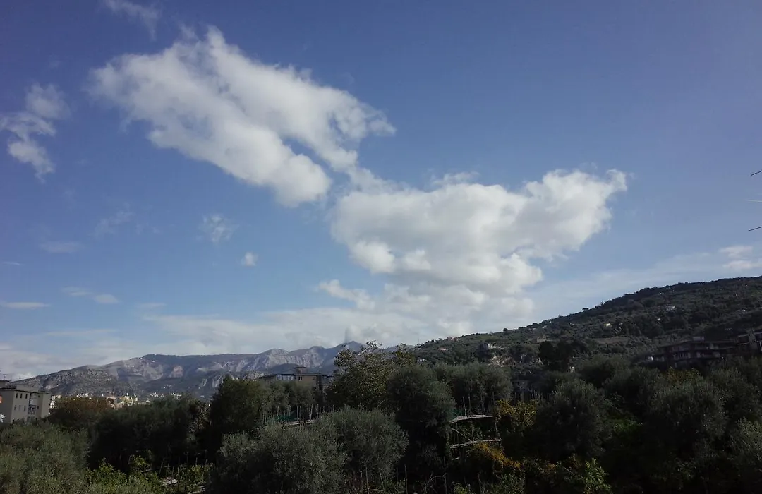 I Colori Di Sorrento-1