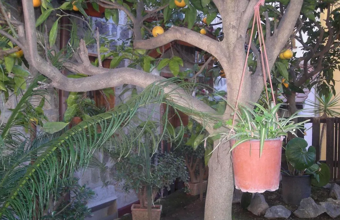 B&B L'Arcobaleno-1