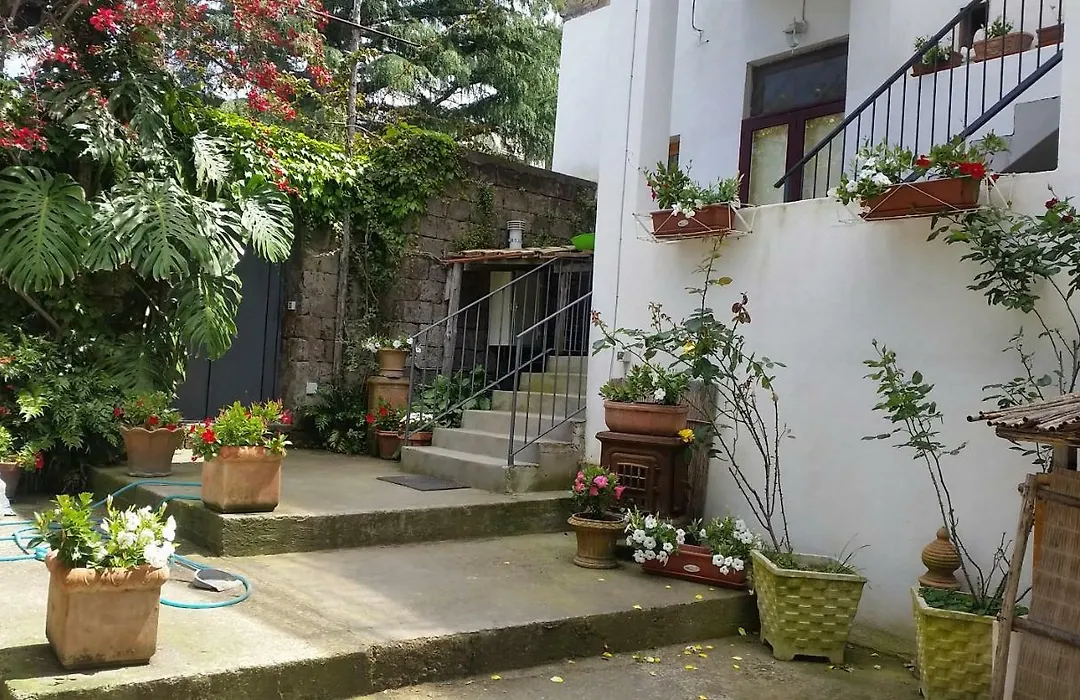 Casa Carolina B&B-1