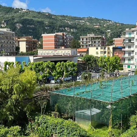 B&B Midtown Sorrento Excellence-2