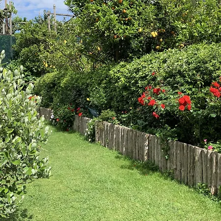 Giardino Sorrentino-2